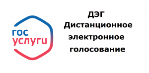 Дистанционное электронное голосование (ДЭГ). В каких регионах проходит, что необходимо для ДЭГ