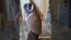 Сова из бревна.