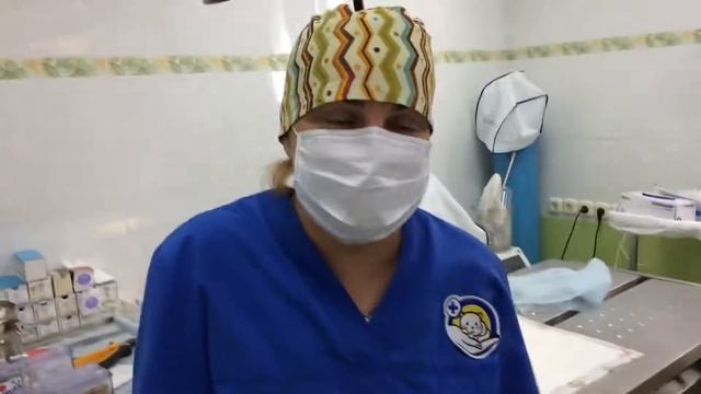 Врач ветеринар ортопед Ветклиника Чулковой