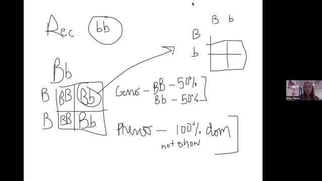 Wartburg Exam 2 Review смотреть онлайн