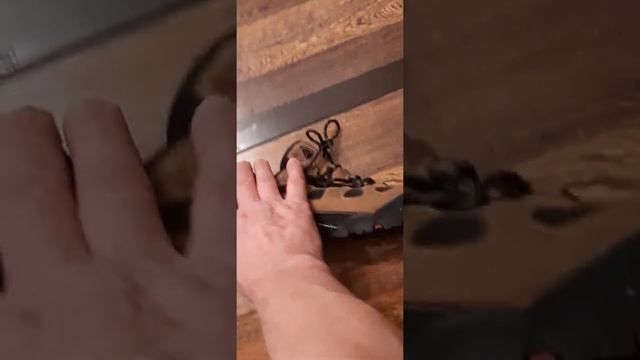 19 ноября 2020 г. смотреть онлайн