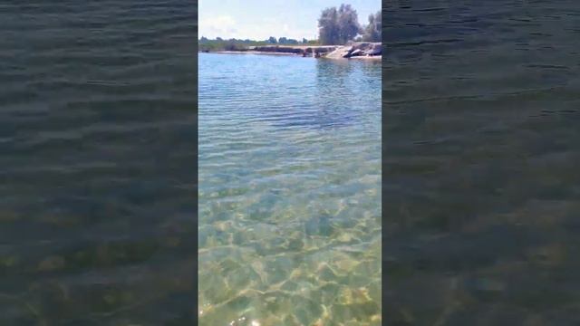 Крым. Беляус , озеро Донузлав.