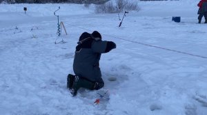 Отличный клев в разных точках водоема!