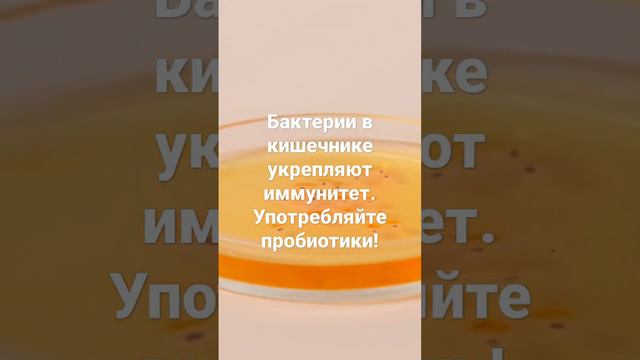 Пробиотики укрепляют иммунитет. Подпишись!