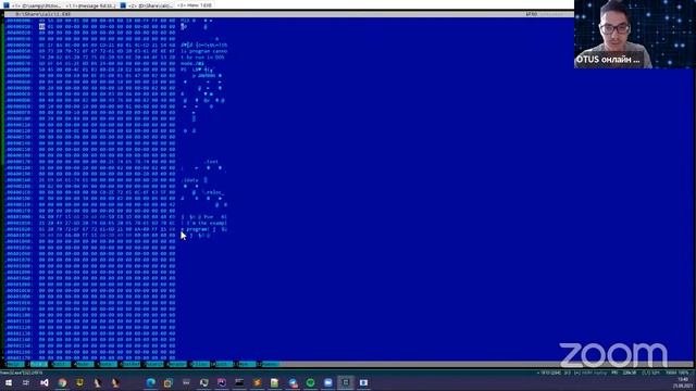 Типовые алгоритмы работы файловых инфекторов. День 1 // Демо-занятие курса «Reverse-Engineering» смотреть онлайн
