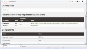 Part 5 Micro Services avec Spring Cloud  Eureka Registration Service