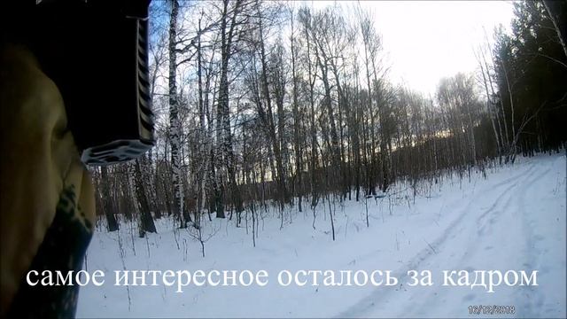 Охота на лося .декабрь.2018 г. 2 часть смотреть онлайн