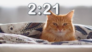 Kitten Day 5 minute Timer with Music!