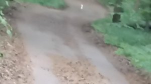 Альфа доберман 350 4,5мм на 90 метров.