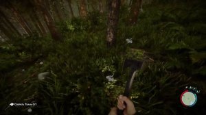 Что нужно делать в Sons of the Forest Чтобы Выжить