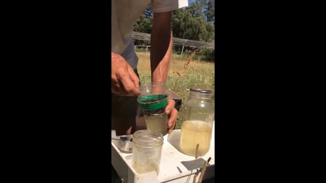 Экспресс-анализ заклещеванности семьи (Ренди Оливер, США) смотреть онлайн