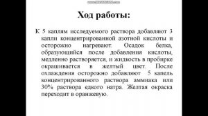 Биология. Урок 13(1) Лабораторная работа 3 «Определение содержания белков в биологических объектах»