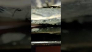 как слить антифриз с форд мондео 4 2.0 Дт