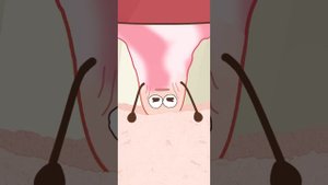 【Yummy Report】🍭Happy Candy Party🥰【Little Munchy Puff】