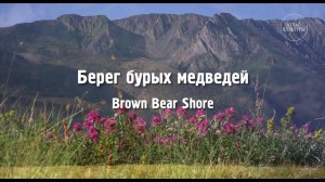 Берег бурых медведей. «Путешествие на Байкал»