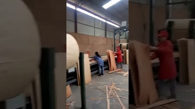 plywood machine, changxing, best in china