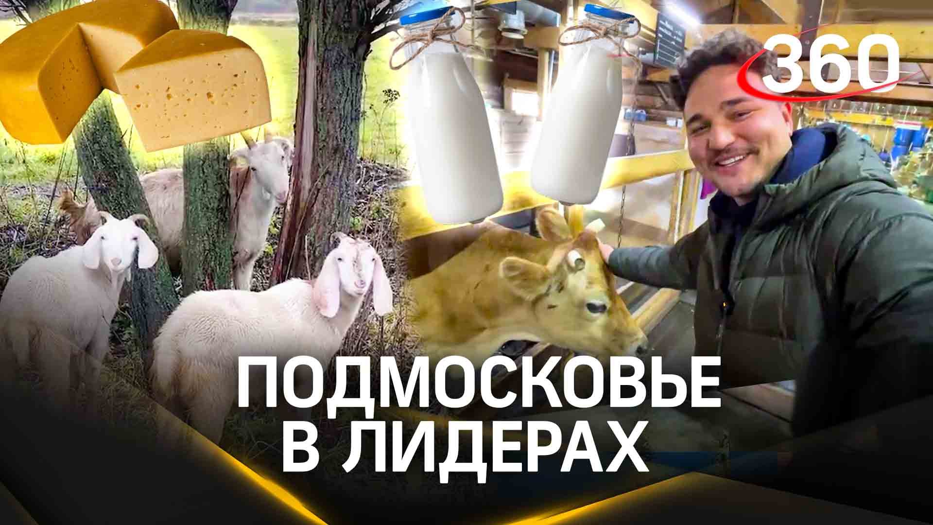 Как фермерское хозяйство вносит вклад в развитие Подмосковья