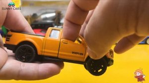 monster truck, ford raptor, ambulance Sunny Cars #1462