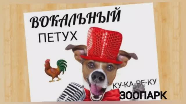 Вокальный ЗООПАРК?ПЕТУХ?Соединяем Грудной и Головной регистр?