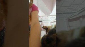 Моя Муся боится щекотки! Челлендж на щекотку у котят!