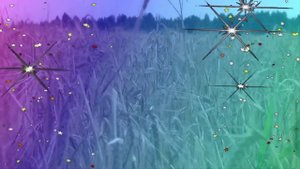 Радуга Песня Ваенги кавер Г Погорельская.mp4