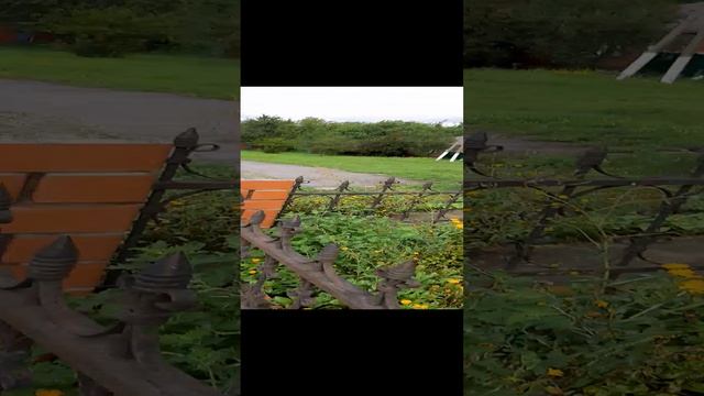 ласточка