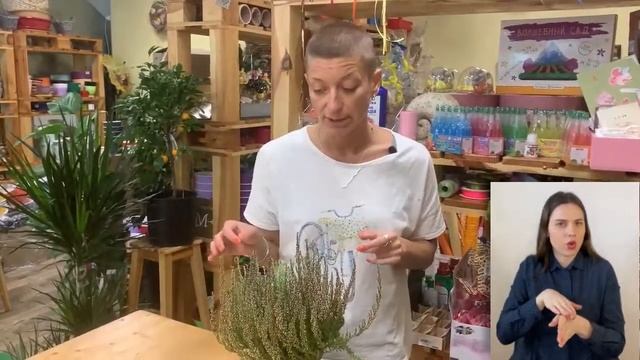 Вереск { СУРДОПЕРЕВОД } растение для дома или только для сада? Сложный или простой в уходе цветок смотреть онлайн