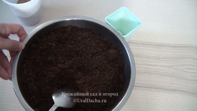 Бесплатное удобрение для грунта.  Добавьте это в почву и рассада будет коренастая с яркой листвой