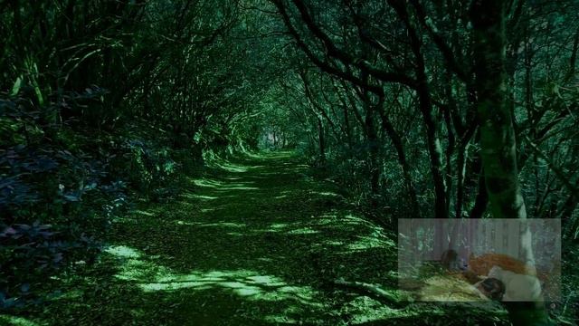 ПРИВОРОТ и ЧЕРНАЯ МАГИЯ 🖤 Освобождение через сеанс Экзо-Гипноза
