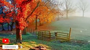 СИЛЬНАЯ ДУА ОТ ШАЙТАНА И СГЛАЗА. СЛУШАЙТЕ КАЖДЫЙ ДЕНЬ.  ИН ШАА АЛЛАХ ВСЁ БУДЕТ ХОРОШО!