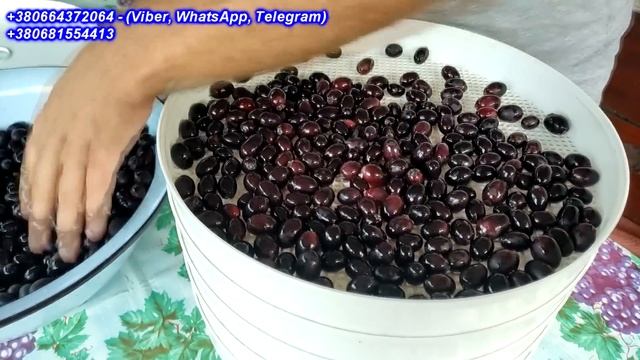 Ізюм - технологія виготовлення в домашніх умовах