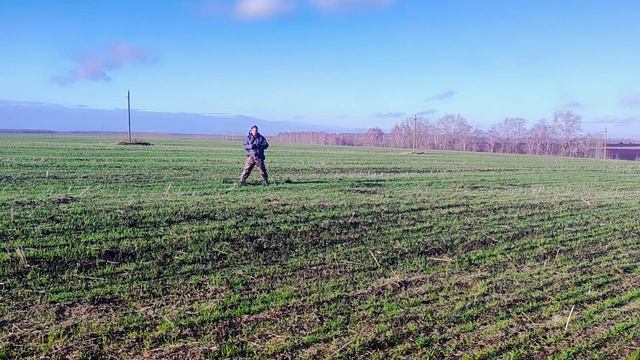 На распаханном урочище! Поиск монет и старины. Коп 2023г смотреть онлайн