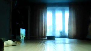 Делаем ослика