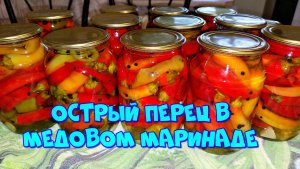 ОСТРЫЙ ПЕРЕЦ В МЕДОВОМ МАРИНАДЕ НА ЗИМУ???