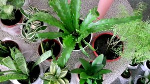 ?Пересадки???(С самого утра как пчела...?)