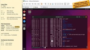 Команда ls в Linux