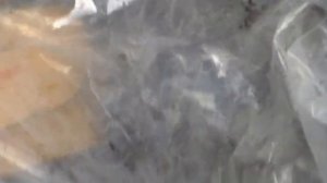 Шкода Фабиа 1.2 Стук в моторе! И жор масла !!