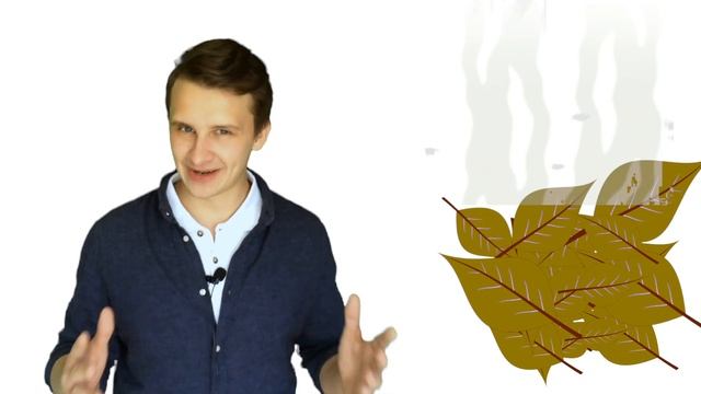 ВЫУЧИТЬ УЧЕБНИК ЗА 1 ДЕНЬ | Как выучить книгу | как запомнить большой объем информации смотреть онлайн