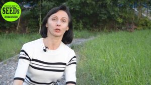 Самый быстрый газон. Газон быстрорастущий. Как быстро растет газонная трава