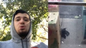 Крыса размером с Кота в Нью-Йорке | Будни Америки