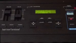 Roland D-20 № 2. Звуки и голоса.