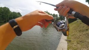 Бюджетный спиннинг для джига? Maximus Zircon. Часть 2