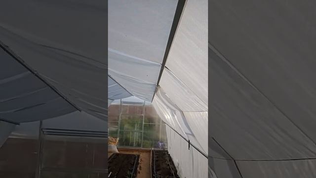 Жара в теплице. Как понизить температуру в теплице. смотреть онлайн