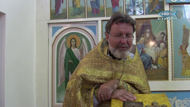 О злых виноградарях, 30 августа 2015
