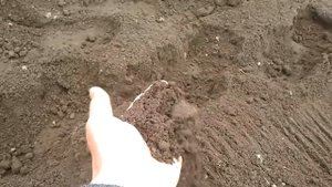 мотоблок кайман варио в деле