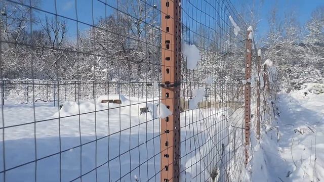 участок в центре у реки в ст. Азовской.
