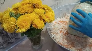 КАПУСТА  ХРУСТИТ НЕ ТЕМНЕЕТ НЕ ТЯНЕТСЯ ! ТАКАЯ КАПУСТА СТОИТ ДО СЕНТЯБРЯ . СЪЕДАЕТСЯ ЗА ДВА ДНЯ !?