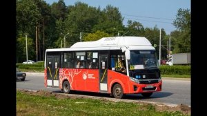 Топ 5 Пермских автобусов