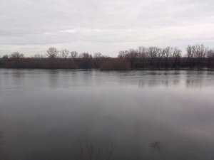 Течет река долго...