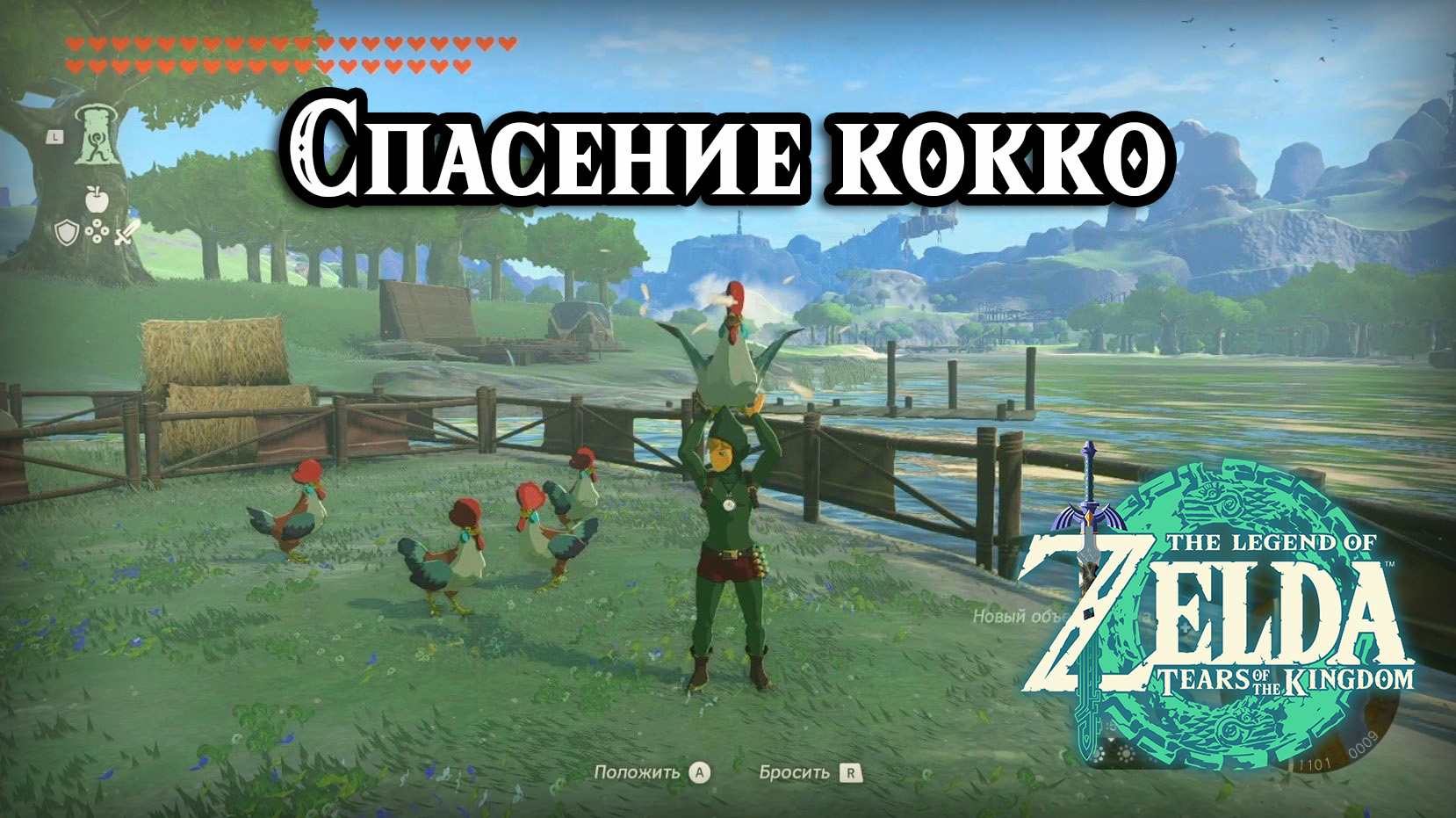 Спасение кокко. The Legend of Zelda Tears of the Kingdom. Feathered Fugitives. Nintendo Switch